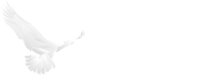 Maata Näkyvissä-festarit Maata Näkyvissä-festarit