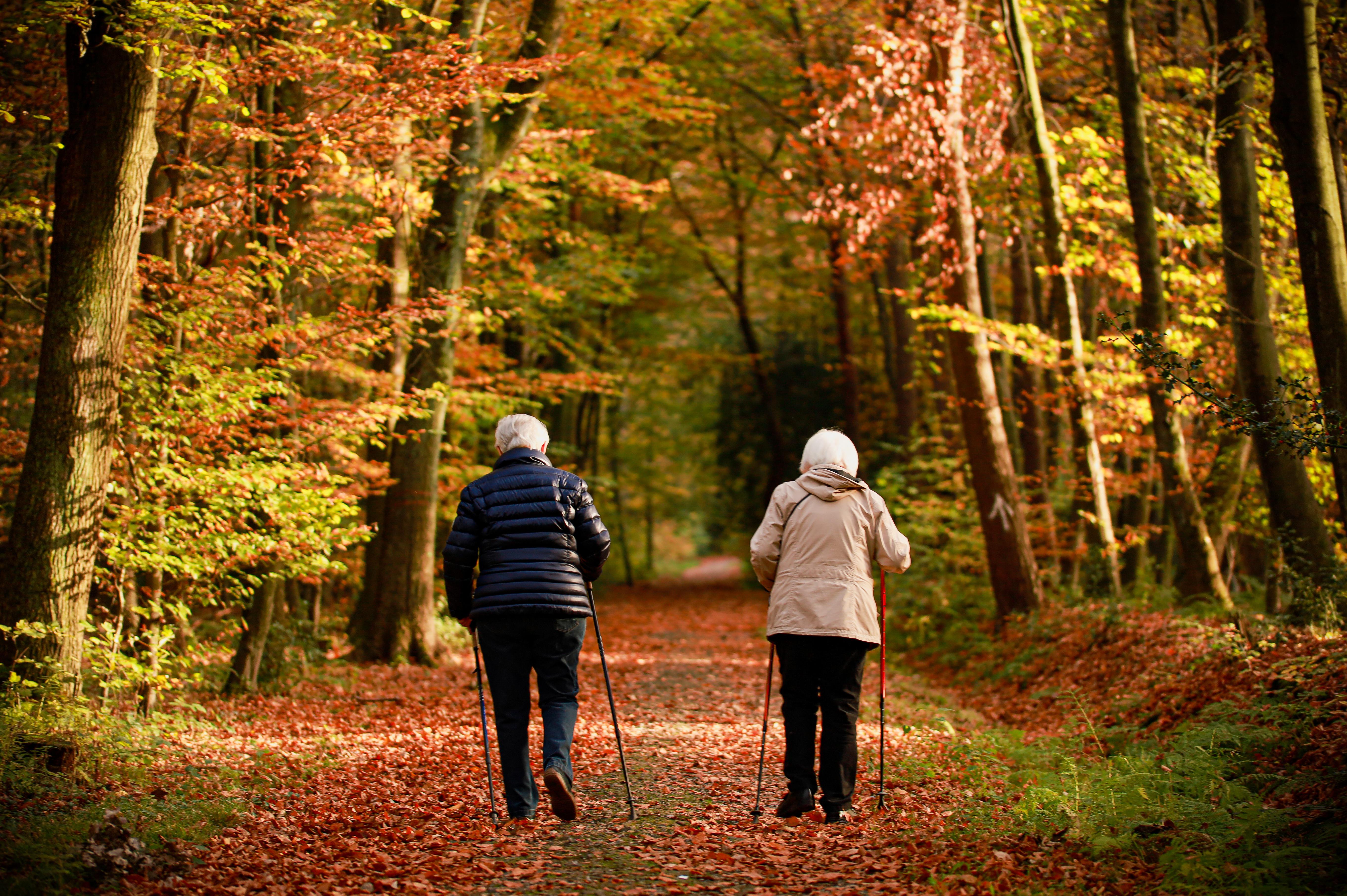 Vanhustenviikon aiheena Arjen kohtaamiset (kuva:Pixabay)