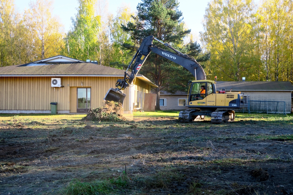 Avaa kuva isommaksi 01_Koivikko_L.